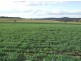 Lintonvale Arnold Road, Linthorpe, Pittsworth QLD 4356