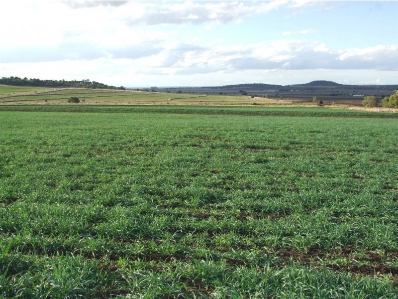 Lintonvale Arnold Road, Linthorpe, Pittsworth QLD 4356