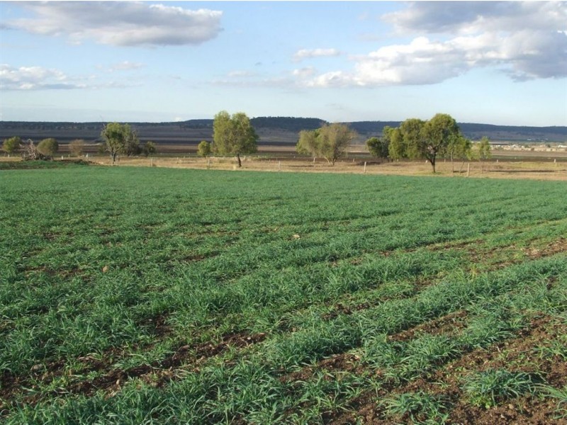 Lintonvale Arnold Road, Linthorpe, Pittsworth QLD 4356