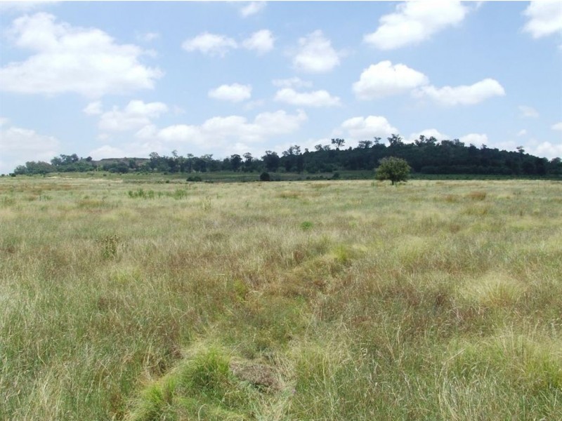 632 Scrubby Mountain, Pittsworth QLD 4356