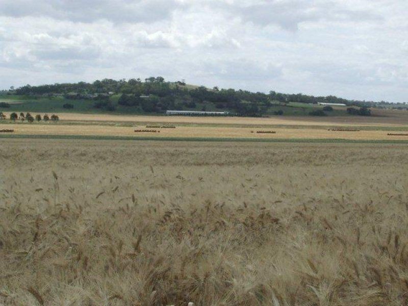 . Cooinda, Pittsworth QLD 4356