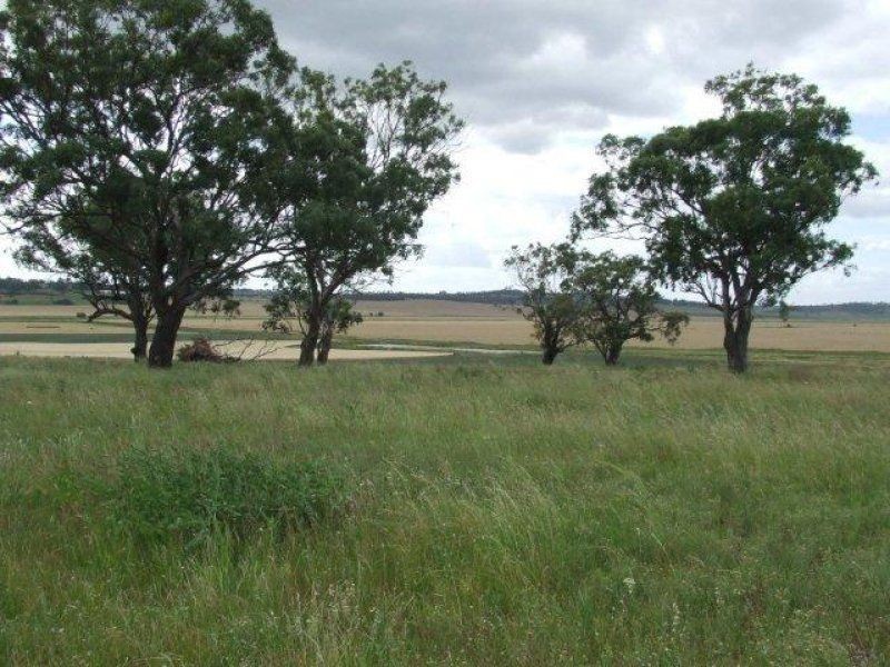 . Cooinda, Pittsworth QLD 4356