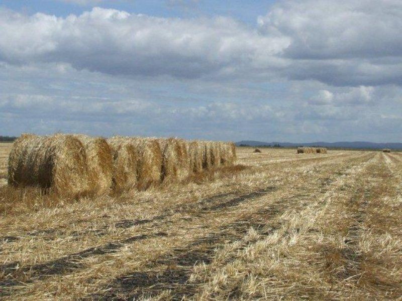 . Cooinda, Pittsworth QLD 4356