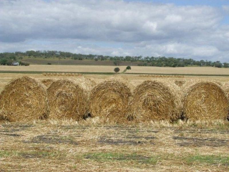 . Cooinda, Pittsworth QLD 4356