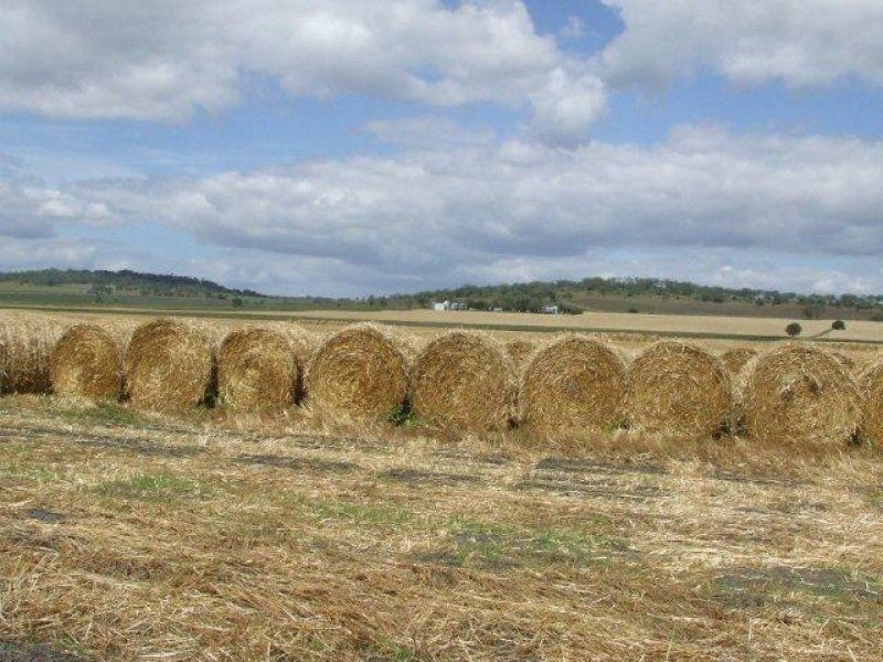 . Cooinda, Pittsworth QLD 4356