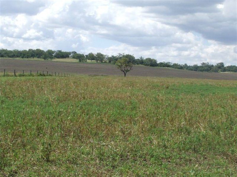 . Bevelldean, Pittsworth QLD 4356