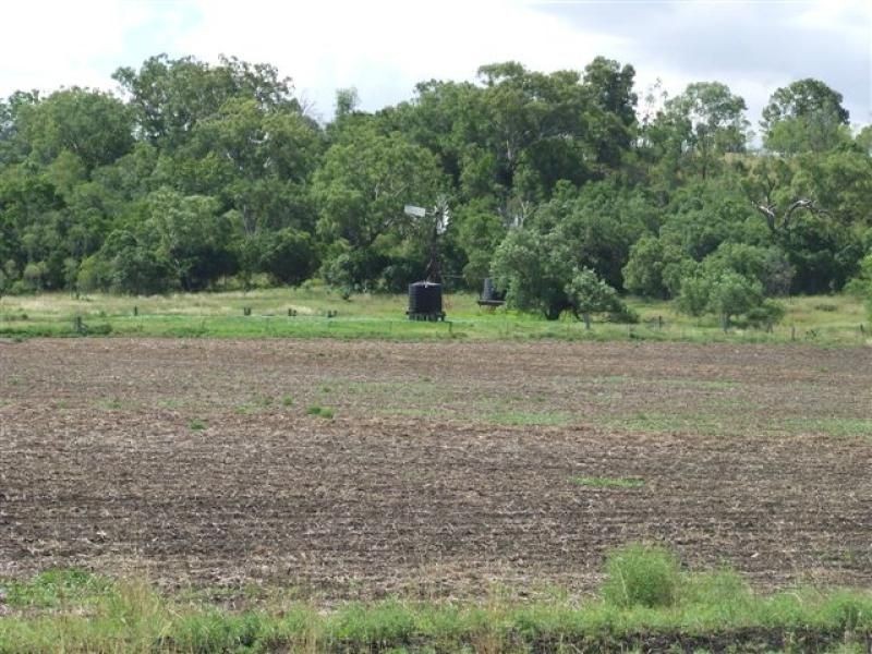 . Bevelldean, Pittsworth QLD 4356