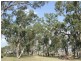 . Clifton Leyburn Road, Back Plains QLD 4361