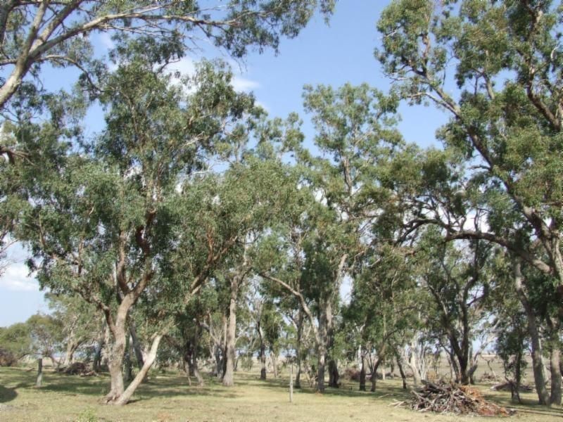 . Clifton Leyburn Road, Back Plains QLD 4361