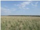 . Clifton Leyburn Road, Back Plains QLD 4361