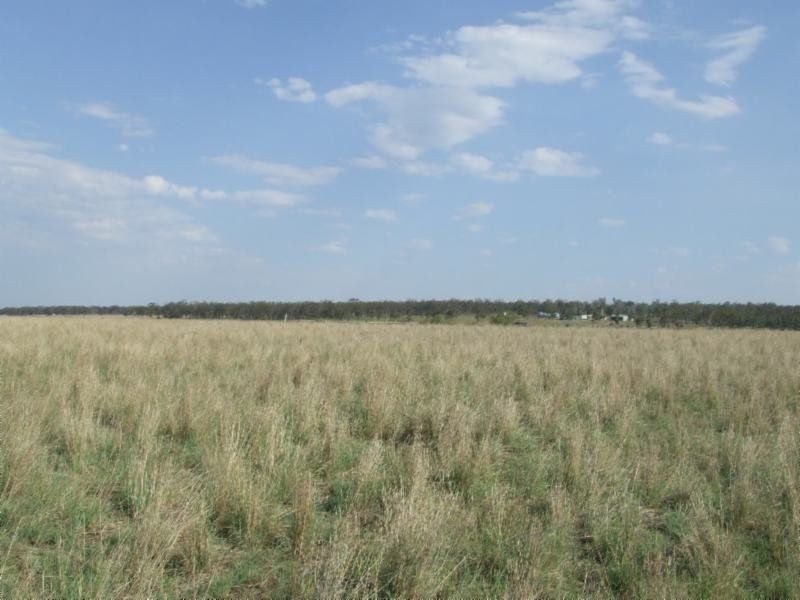 . Clifton Leyburn Road, Back Plains QLD 4361