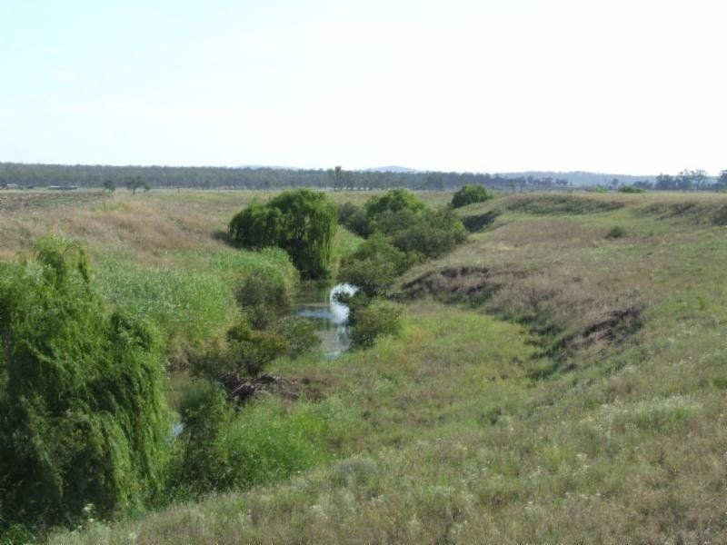 . Clifton Leyburn Road, Back Plains QLD 4361