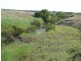 . Clifton Leyburn Road, Back Plains QLD 4361