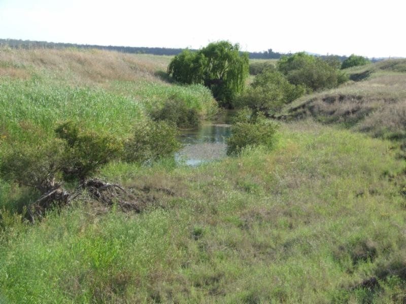 . Clifton Leyburn Road, Back Plains QLD 4361