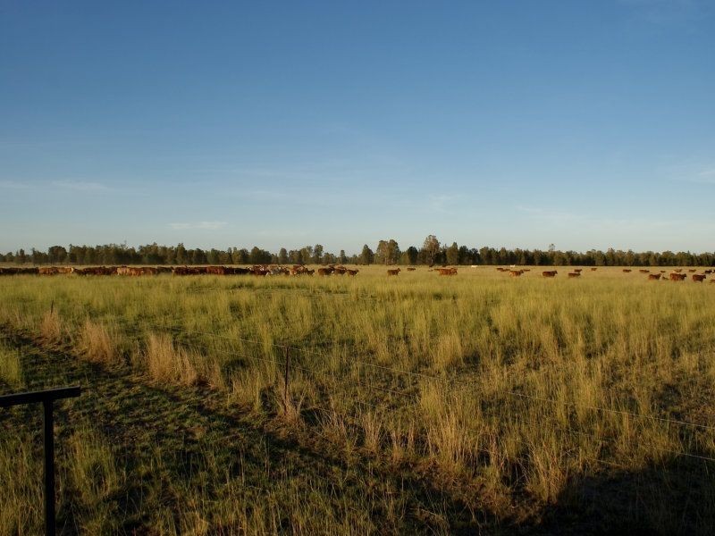 . ., Cecil Plains QLD 4407