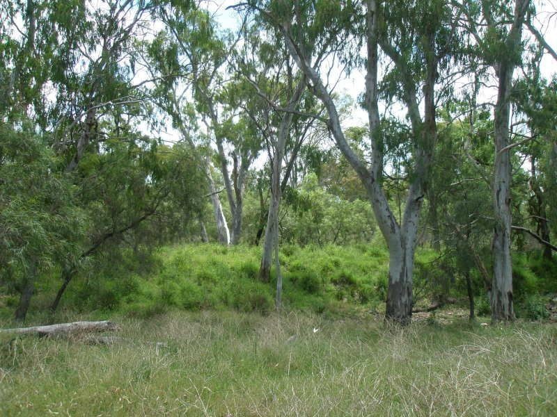 . ., Cecil Plains QLD 4407