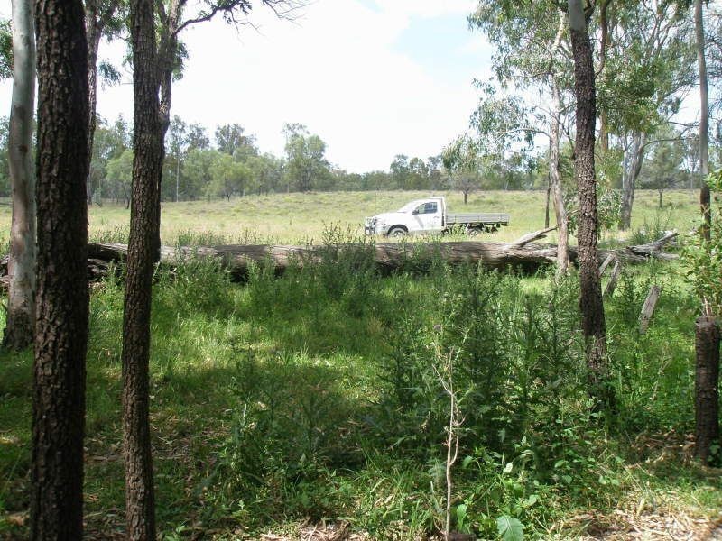 . ., Cecil Plains QLD 4407