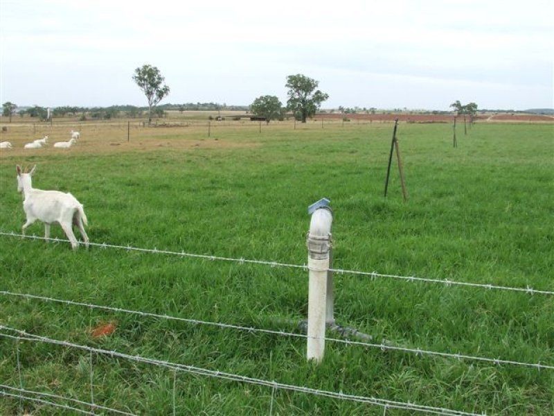 ” Montana”, Pittsworth QLD 4356