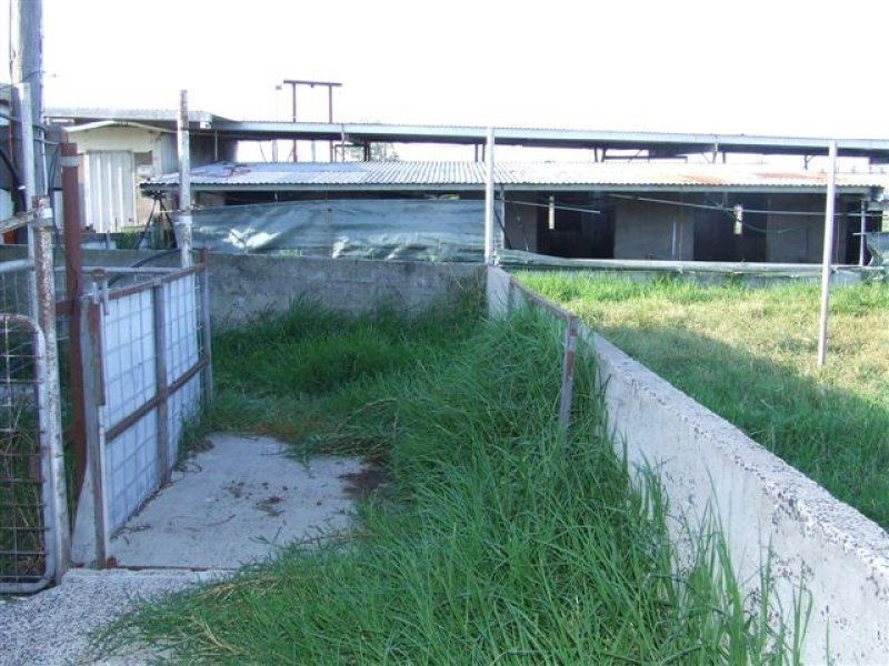 ” Montana”, Pittsworth QLD 4356