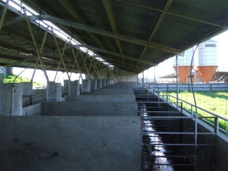 ” Montana”, Pittsworth QLD 4356