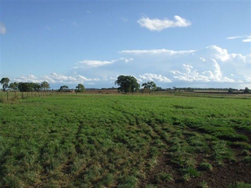 ” Montana”, Pittsworth QLD 4356