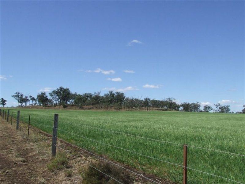 . Warrens,Gore H’way, Southbrook QLD 4363