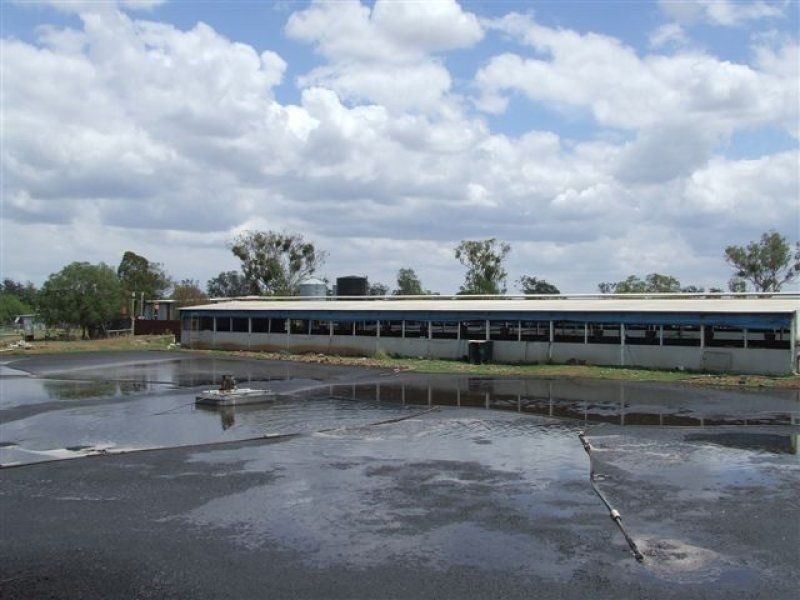 . Valera, Pittsworth QLD 4356