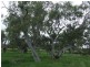 Felton Inn Toowoomba-Karara, Pittsworth QLD 4356