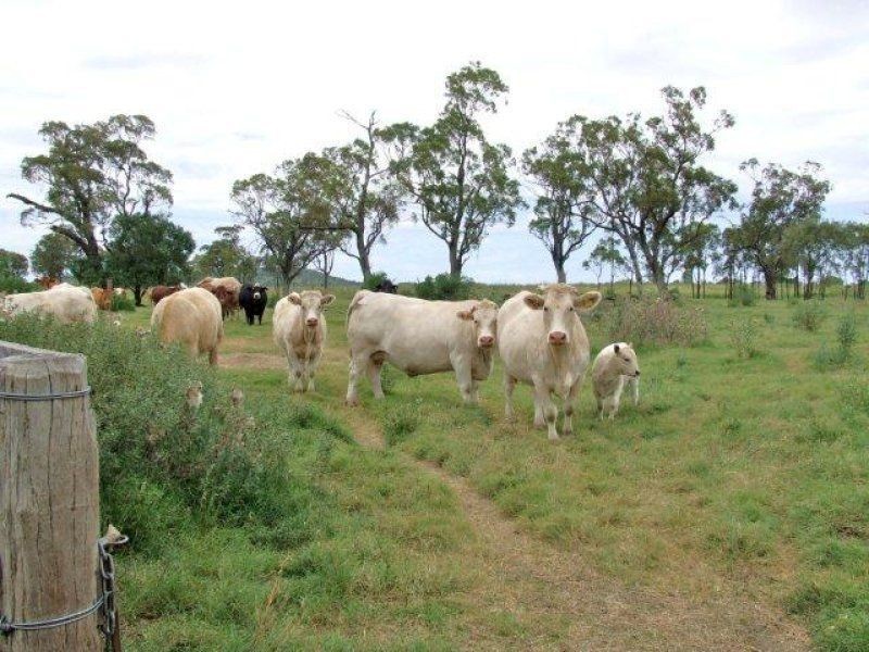 . Gore Highway, Pittsworth QLD 4356