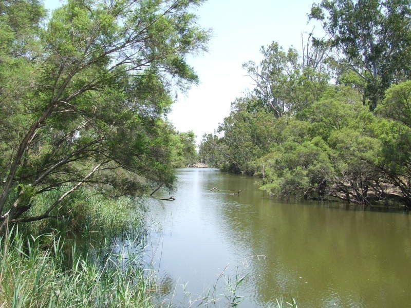 . Whetstone East, Whetstone QLD 4387