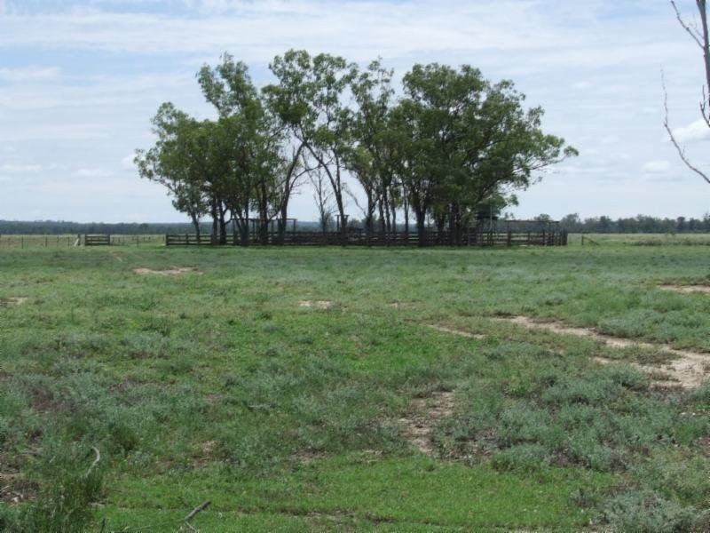 . Whetstone East, Whetstone QLD 4387