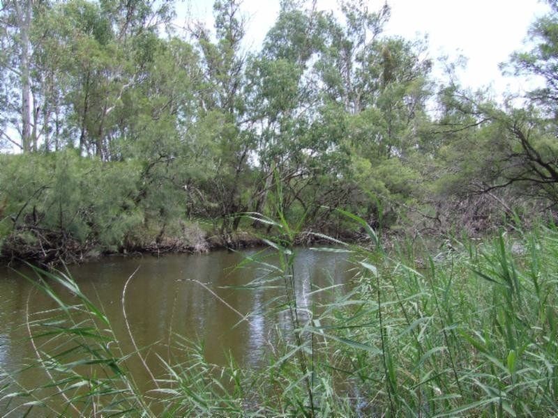 . Whetstone East, Whetstone QLD 4387