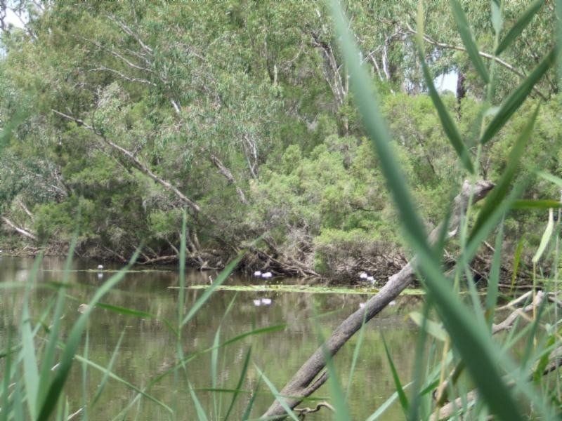 . Whetstone East, Whetstone QLD 4387