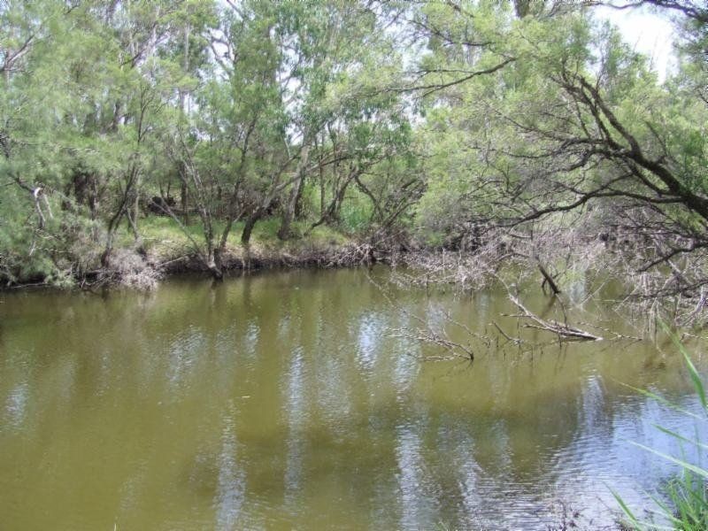 . Whetstone East, Whetstone QLD 4387