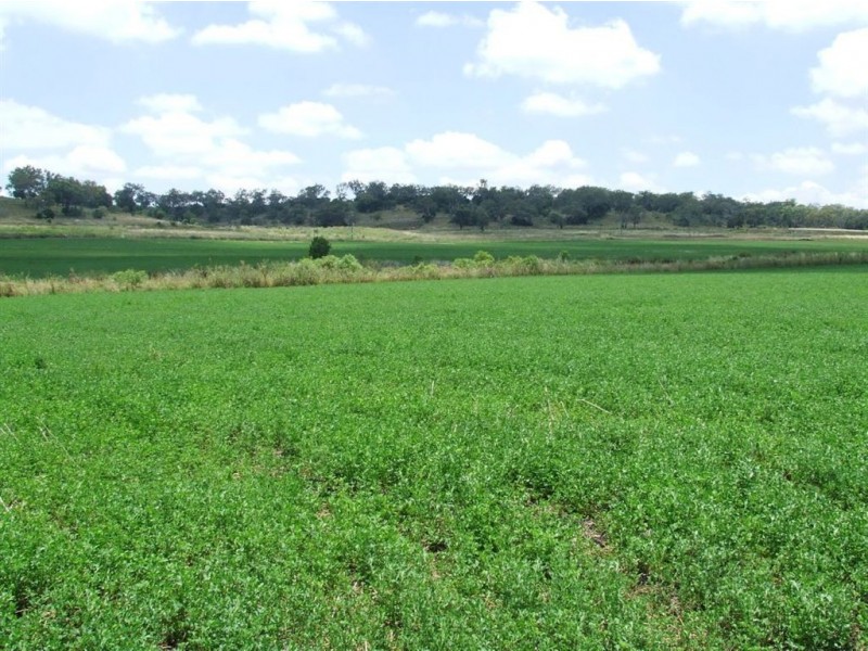 23 acs Scrubby Rd, Pittsworth QLD 4356