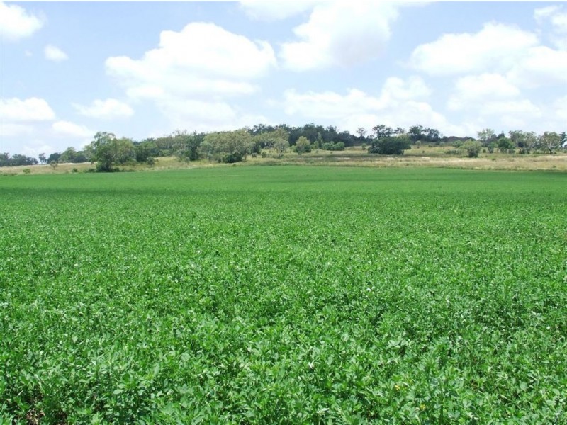 23 acs Scrubby Rd, Pittsworth QLD 4356