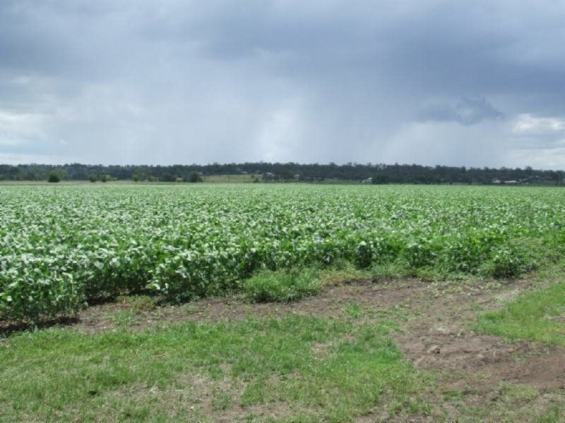 8 Mulgowie Road, Laidley QLD 4341