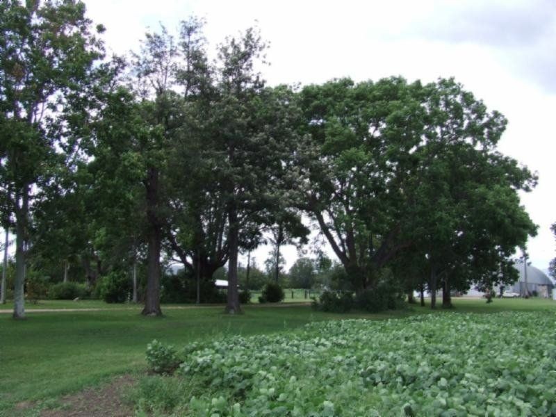 8 Mulgowie Road, Laidley QLD 4341