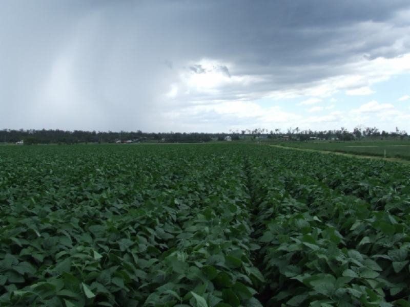 8 Mulgowie Road, Laidley QLD 4341