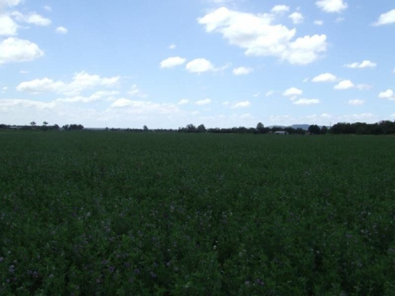 8 Mulgowie Road, Laidley QLD 4341