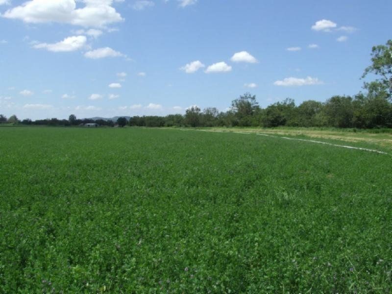 8 Mulgowie Road, Laidley QLD 4341