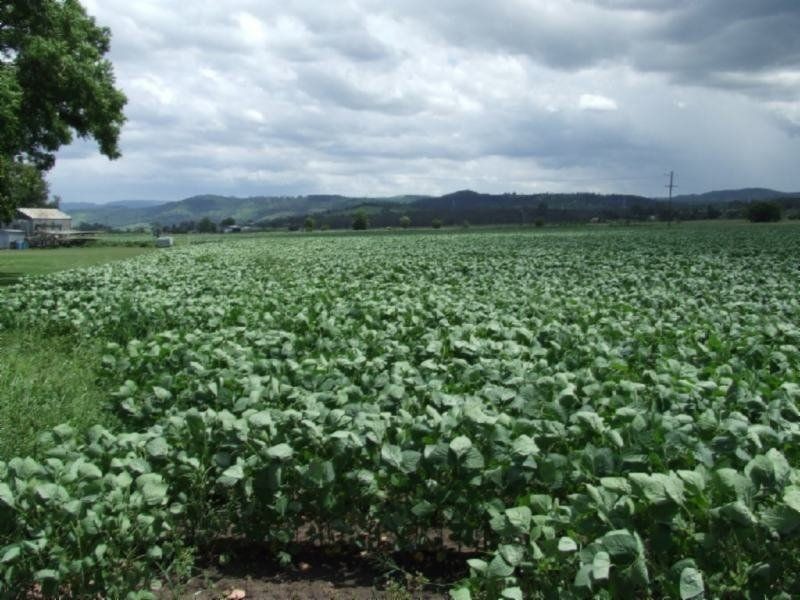 8 Mulgowie Road, Laidley QLD 4341