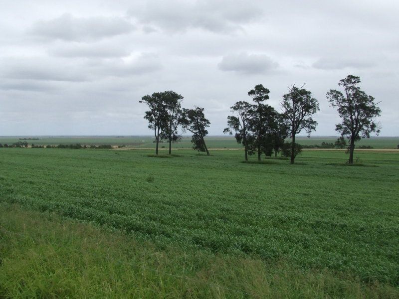 . Irongate, Pittsworth QLD 4356