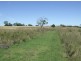 ” Spring Valley”, Pittsworth QLD 4356