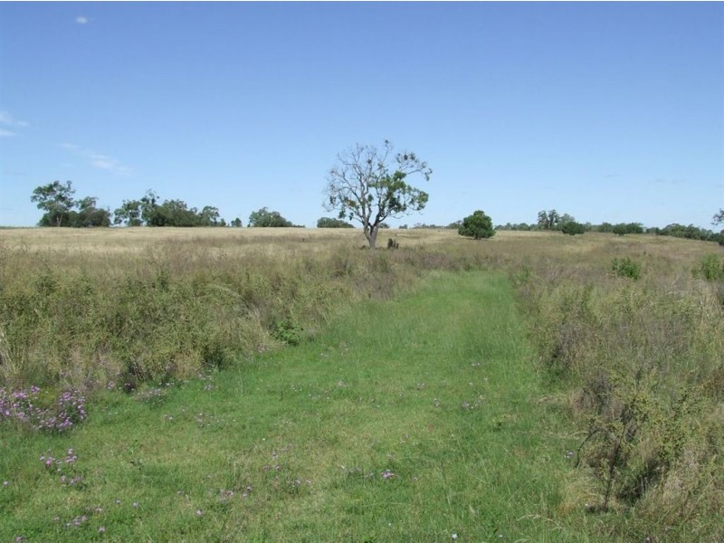 ” Spring Valley”, Pittsworth QLD 4356