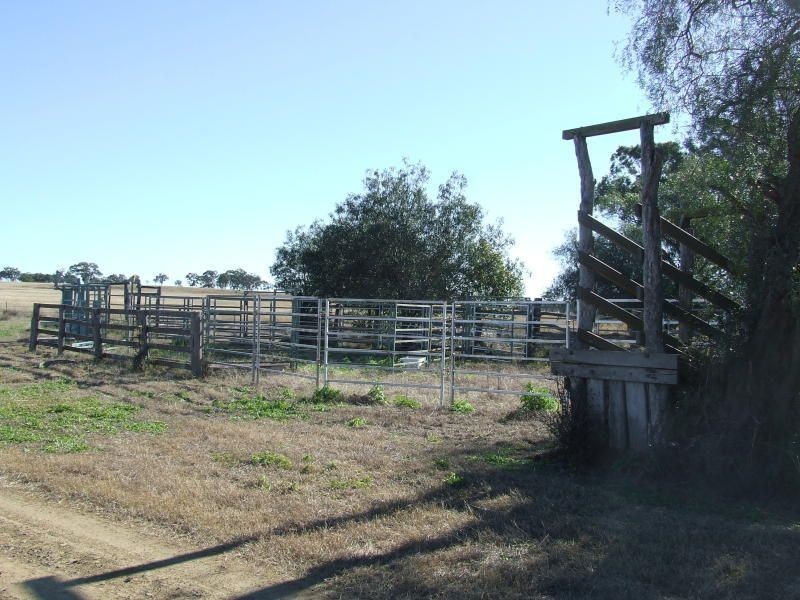” Spring Valley”, Pittsworth QLD 4356