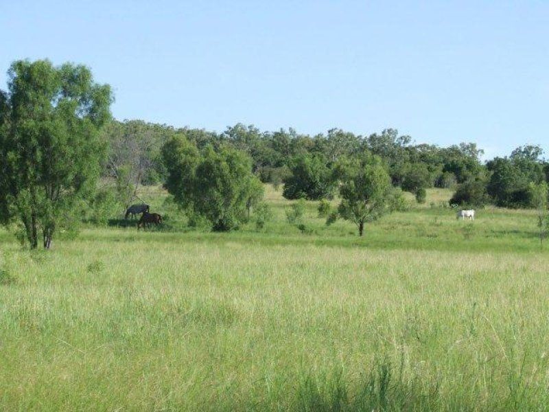 0 Wyangapinni Road, Pittsworth QLD 4356