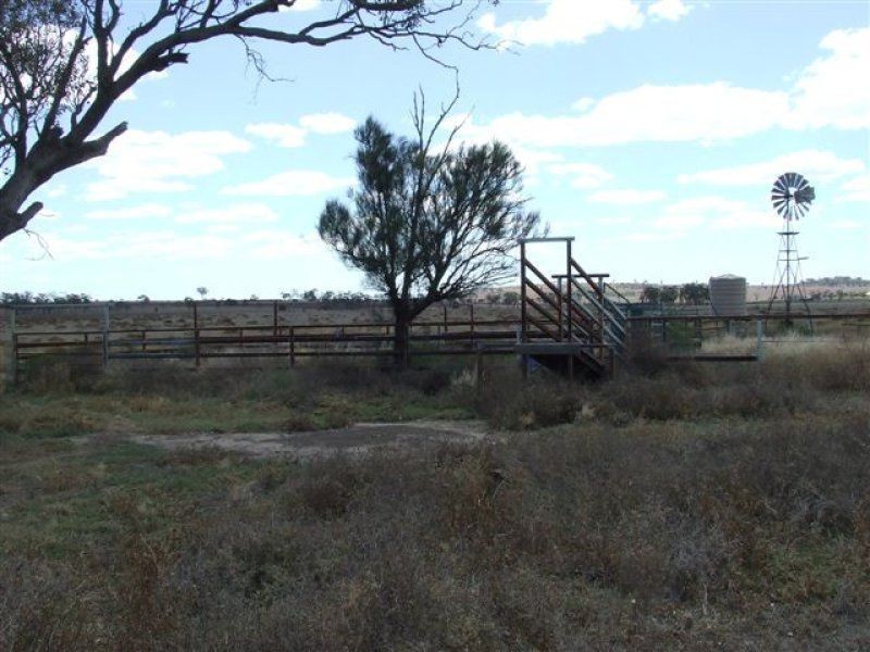 . Scrubby Mt Road, Pittsworth QLD 4356