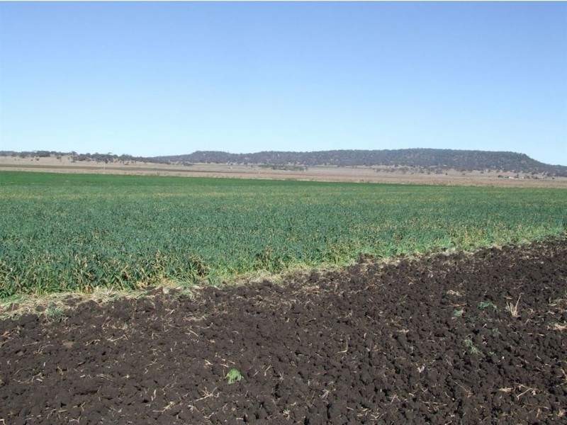 . “Mountain View”, 208 Watts Siding Rd, Cambooya QLD 4358