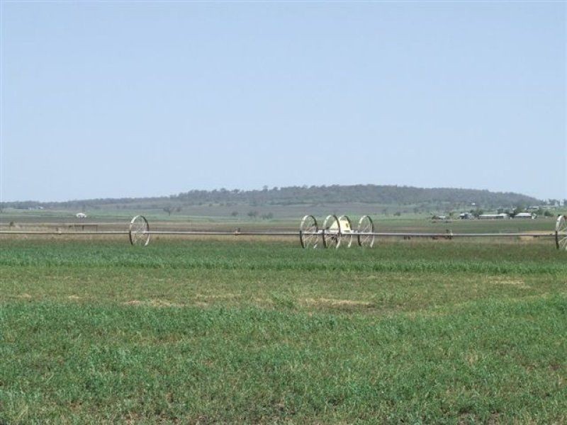 . “Mountain View”, 208 Watts Siding Rd, Cambooya QLD 4358